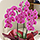 �Ӓ����E�~��