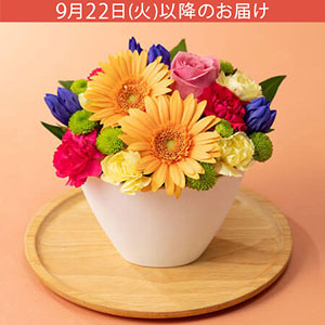敬老の日 アレンジメント「ほほえみ日和」